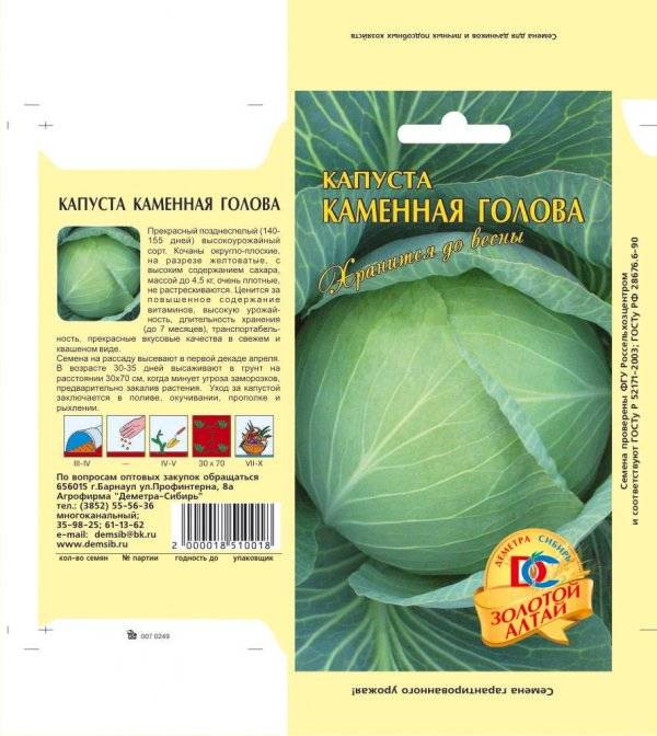 Капуста каменная голова описание сорта фото отзывы Капуста каменная голова описание сорта фото отзывы Фитостудия-63.ру