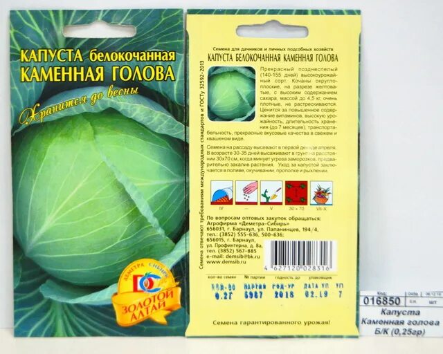 Капуста каменная голова описание сорта фото отзывы Нисса каталог - Капуста Каменная голова белокочанная (0,2гр) ДемСиб *10