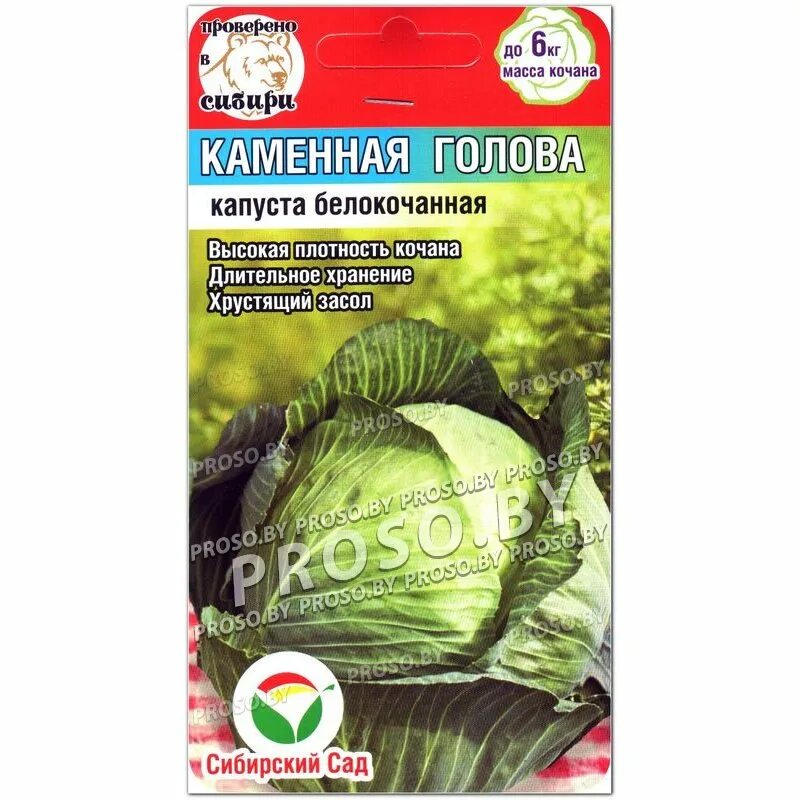 Капуста каменная голова описание сорта фото отзывы Купить семена Капуста белокочанная Каменная голова в Минске и почтой по Беларуси