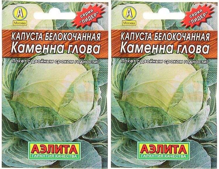 Капуста каменная голова описание сорта фото отзывы Капуста каменна