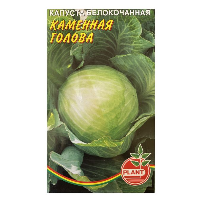Капуста каменная голова описание сорта фото отзывы Каменная голова капуста LibraArt.ru