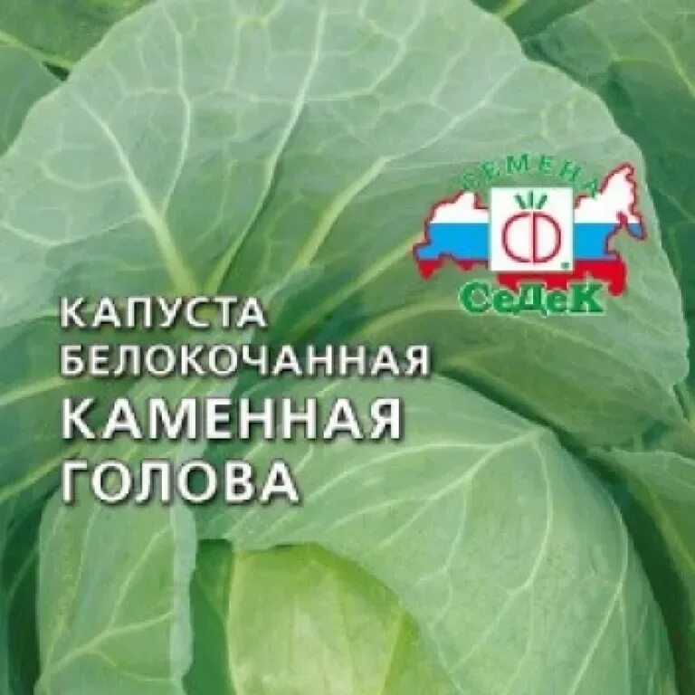 Капуста каменная голова описание сорта фото отзывы Капуста белокочанная Каменная голова - описание семян с фотографиями растения. О