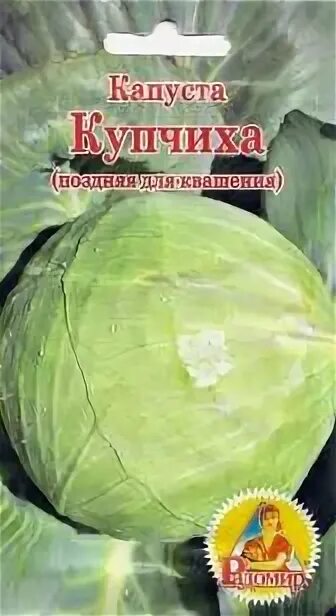 Капуста купчиха описание сорта фото Капуста купчиха описание сорта фото - Arhids.ru