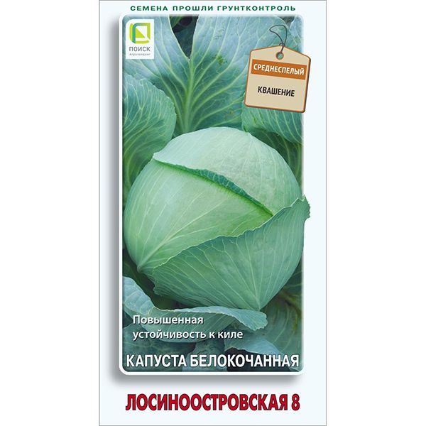 Капуста лосиноостровская описание сорта фото отзывы Капуста ПОИСК Агрохолдинг Капуста белокочанная_Лосиноостровская 8 - купить по вы