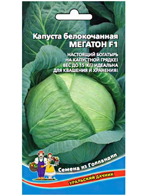 Капуста мегатон описание сорта фото Капуста Капуста Белокочанная