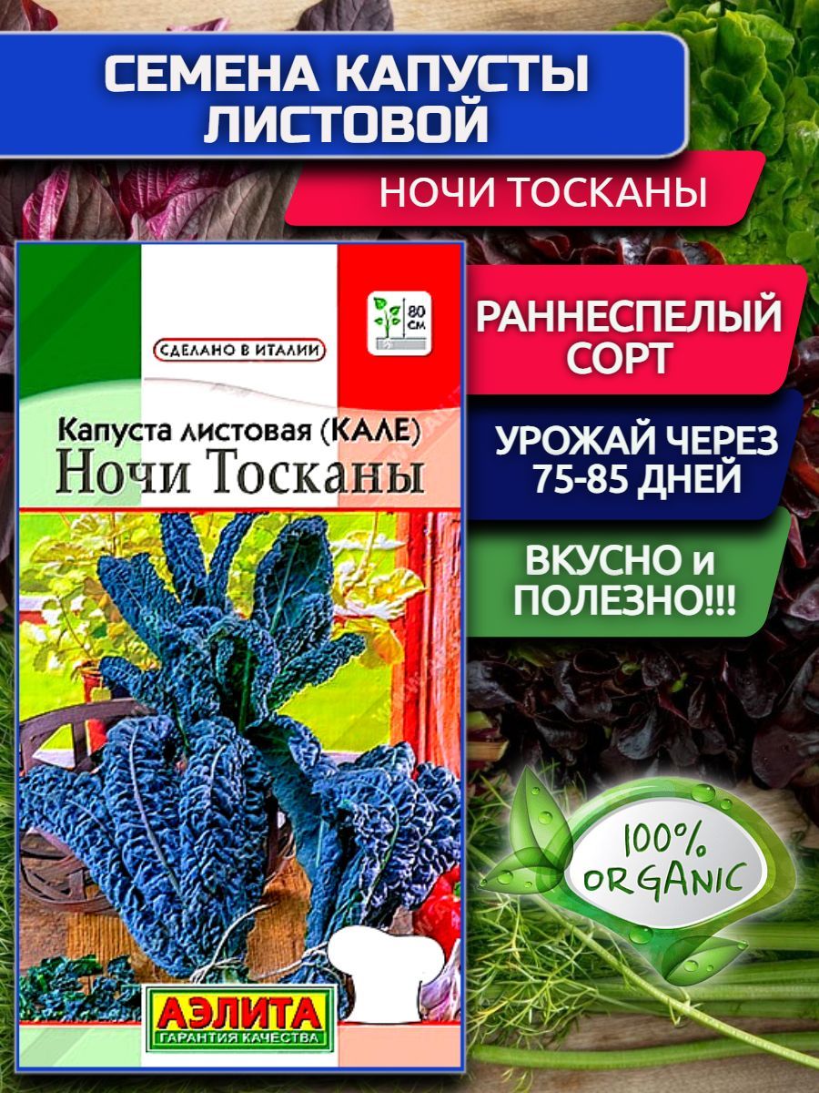 Капуста ночи тосканы фото Характеристики Семена Капуста листовая Ночи Тосканы. Раннеспелый сорт листовой к