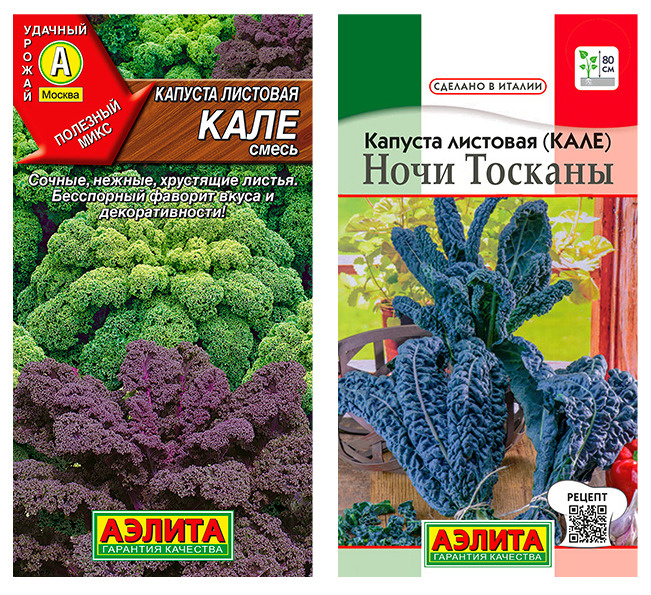 Капуста ночи тосканы фото Капуста Агрофирма Аэлита 45073 - купить по выгодным ценам в интернет-магазине OZ