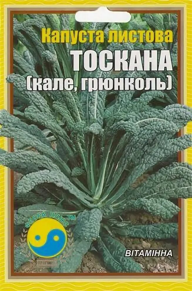 Капуста ночи тосканы фото Семена почтой дешево