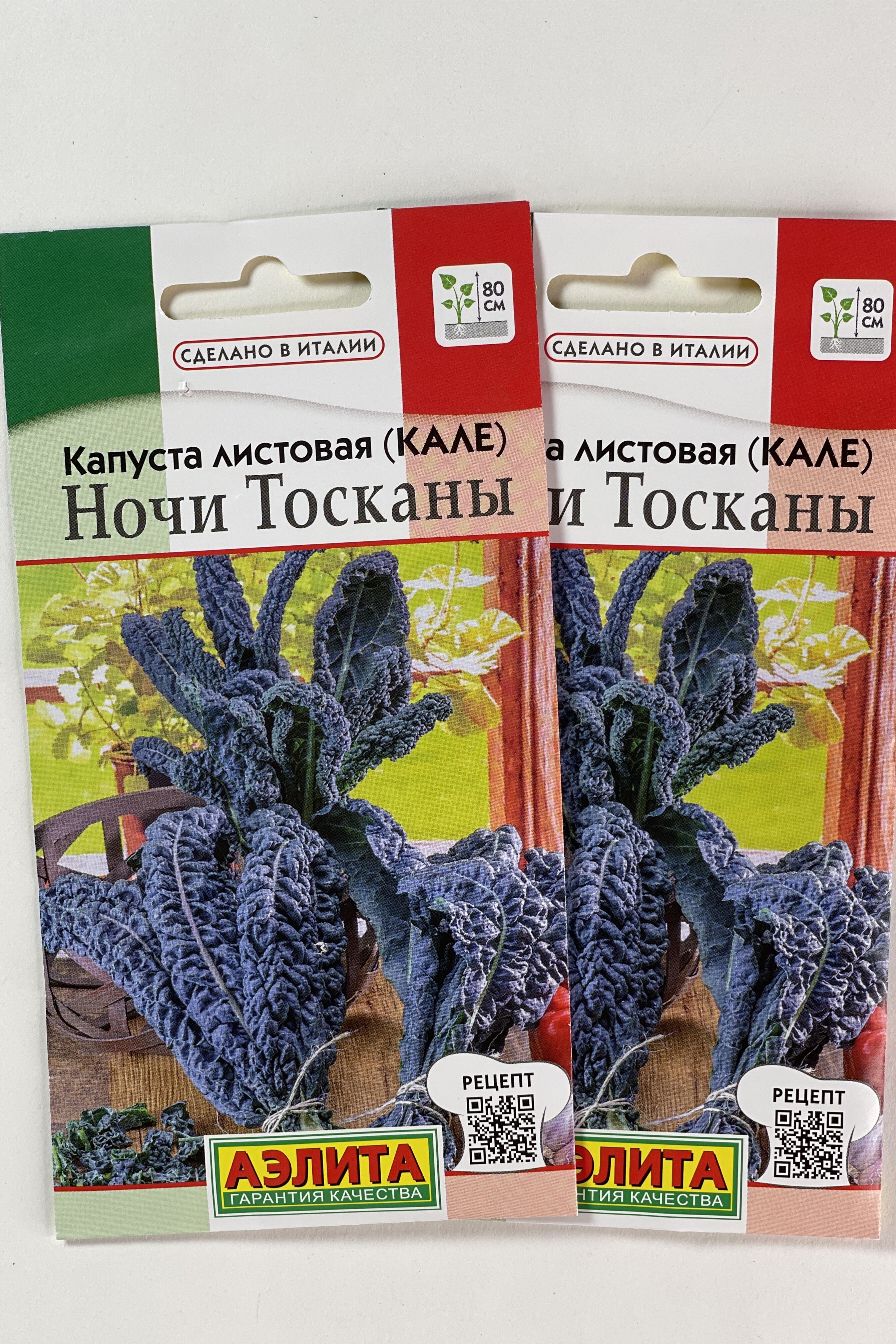 Капуста ночи тосканы фото Капуста Аэлита Капуста листовая_НочиТосканы - купить по выгодным ценам в интерне