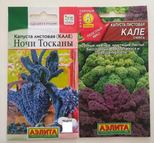 Капуста ночи тосканы фото Отзывы на Семена капусты листовой Кале: смесь (0,3 г) и Ночи Тосканы (0,2 г) от 