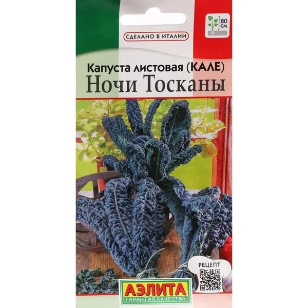 Капуста ночи тосканы фото Капуста g/gl7643721 - купить по выгодным ценам в интернет-магазине OZON (4662400