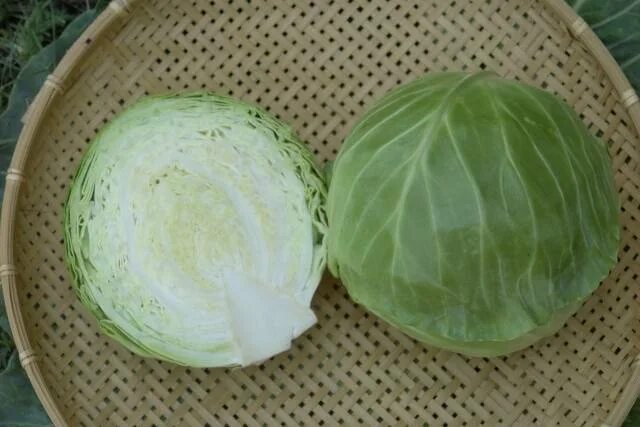 Капуста парел фото Varieties of early and ultra-early white cabbage - Healthy Food Near Me