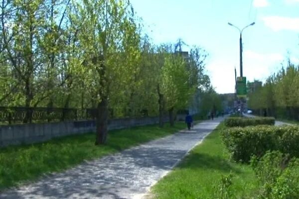 Капуста парковая аллея 6а дзержинск фото Иициативная группа общественников-дзержинцев обратилась к депутатам Гордумы с пр