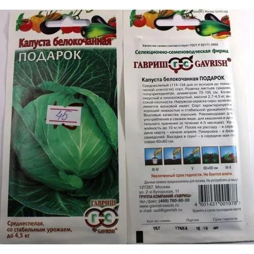 Капуста подарок описание сорта фото отзывы Капуста подарок описание сорта фото отзывы Фитостудия-63.ру