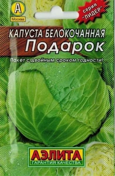 Капуста подарок описание сорта фото отзывы Капуста белокочанная Подарок купить в Туле - низкие цены от компании "Домстрой"