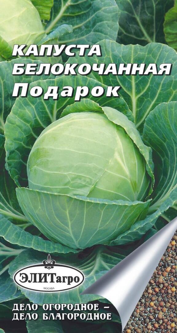 Капуста подарок описание сорта фото отзывы Капуста Элитагро Капуста белокочанная Подарок (0,5 г), 2 пакета - купить по выго