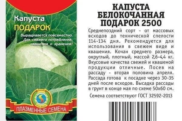 Капуста подарок описание сорта фото отзывы Капуста подарок характеристика фото Molot-Club.ru