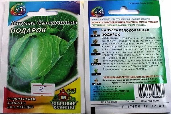 Капуста подарок описание сорта фото отзывы Подарок капуста фото - DelaDom.ru