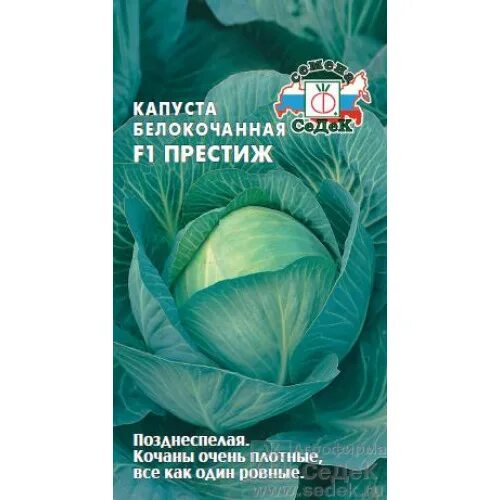 Капуста престиж фото Капуста б/к Престиж F1 Седек Седек купить от 30 рублей в Санкт-Петербурге