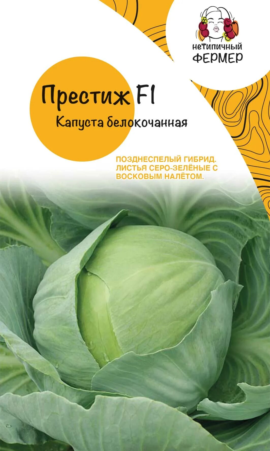 Капуста престиж фото Семена Капуста б/к Престиж F1 (0,2г) НФ - заказать в интернет-магазине "Нетипичн