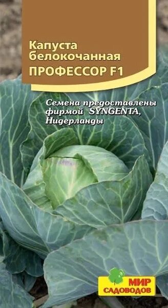 Капуста профессор f1 описание отзывы фото Капуста Мир Садоводов Капуста белокочанная "Профессор F1" - купить по выгодным ц