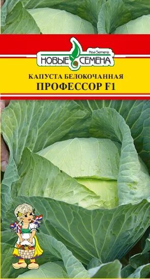 Капуста профессор f1 описание отзывы фото Капуста бк Профессор 0,05г (Syngenta / Голландия)