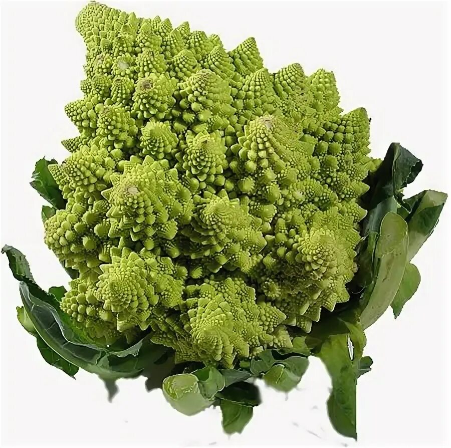 Капуста романо фото Fractal cauliflower Romanesco broccoli, Romanesco, Broccoli