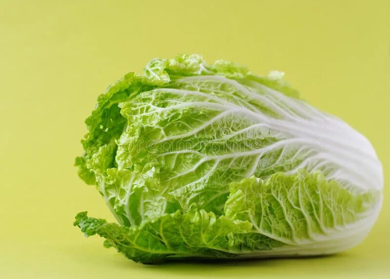 Капуста романо фото Chinese Cabbage or Salad Romano Stock Photo - Image of green, meal: 10594782