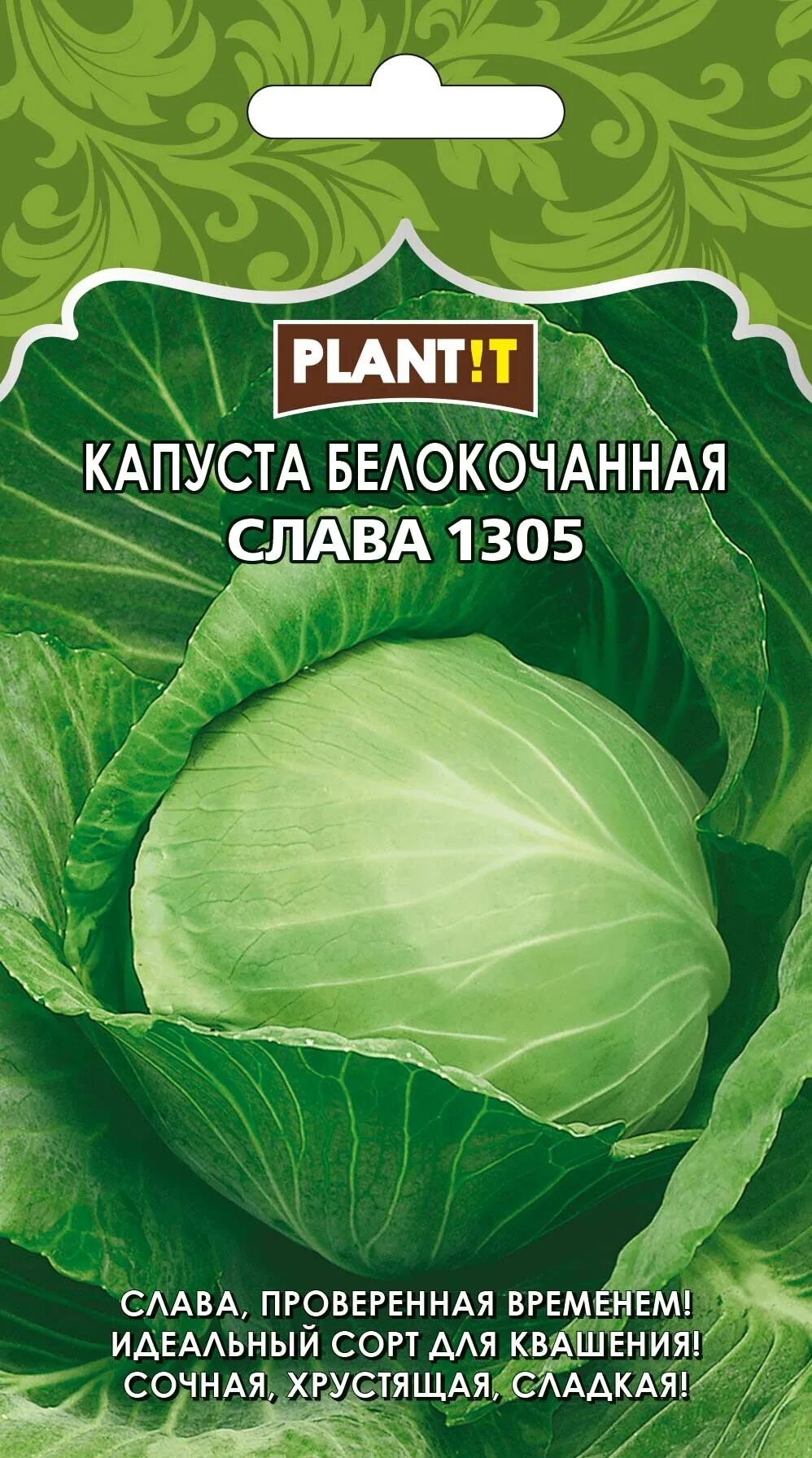 Капуста слава отзывы фото Капуста Слава 1305 б/к Plantit