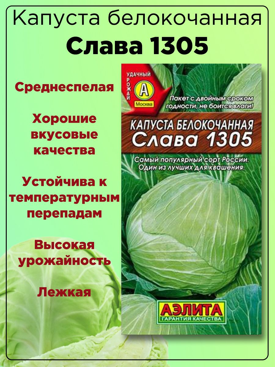 Капуста слава отзывы фото Капуста Агрофирма Аэлита Слава 1305 - купить по выгодным ценам в интернет-магази