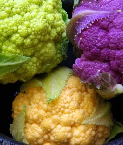 Капуста цвет фото цветная Colorful Purple Cauliflower (even Green & Orange!) Family Food Garden Blumenkohl