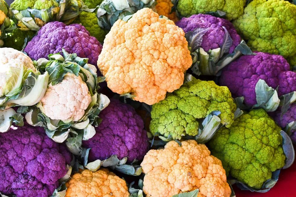 Капуста цвет фото цветная Multicolored Cauliflower, Midtown Farmer's Market Cauliflower, Farmer, Vegetable