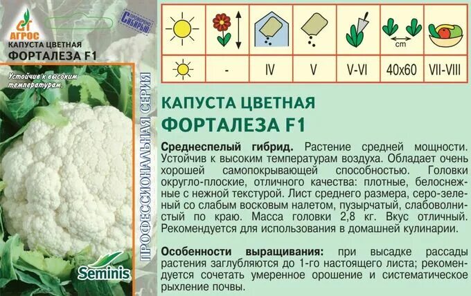Капуста цветная описание фото Капуста цв."Форталеза"F1 15шт* Seminis, Франция, сред. Капуста. Семена овощей