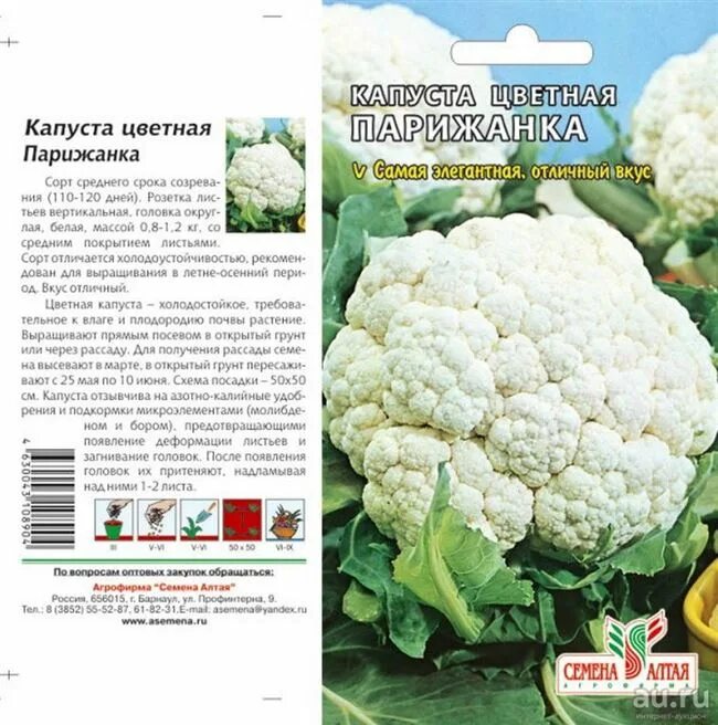 Капуста цветная описание фото Капуста цветная описание сорта фото отзывы