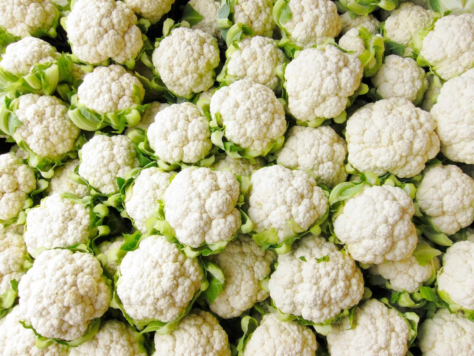 Капуста цветная описание фото Veggie Pasta Maker Raw cauliflower salad, Cauliflower salad, Health benefits of 