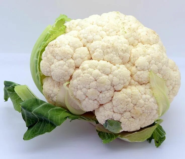 Капуста цветная описание фото Cauliflower head, whole raw natural. Cauliflower puree, Cauliflower fried rice r