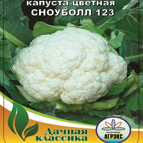 Капуста цветная сноуболл фото Петуния Балконная смесь купить в Челябинске в интернет-магазине ДОМ