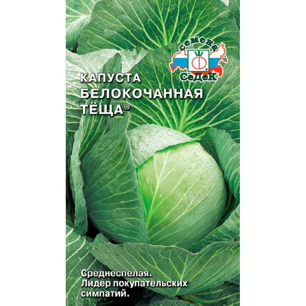 Капуста теща описание сорта фото Капуста бк Тёща 0,5г Б СеДеК - купить в Казани по низкой цене Питомник "Биосфера