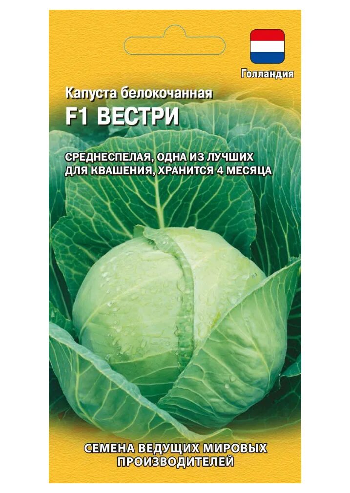 Капуста вестри описание сорта фото Семена капуста белокочанная Гавриш Вестри F1 1910641 1 уп. - купить в Москве, це
