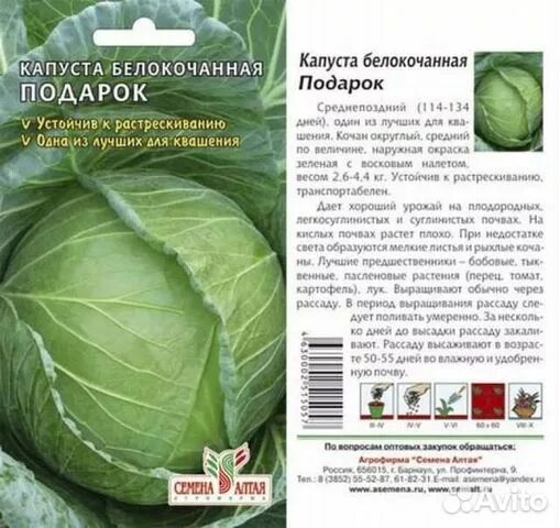 Капуста вспышка описание сорта фото отзывы Рассада капусты купить в Лебедяни Товары для дома и дачи Авито