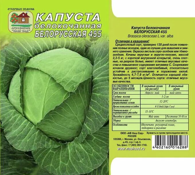 Капуста вспышка описание сорта фото отзывы Белокочанная капуста Белорусская 455 0,5г СО/зел/ капуста Капуста Белокочанная. 