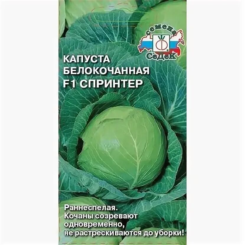 Капуста вспышка описание сорта фото отзывы 4063244 - купить по выгодным ценам в интернет-магазине OZON (169093534)