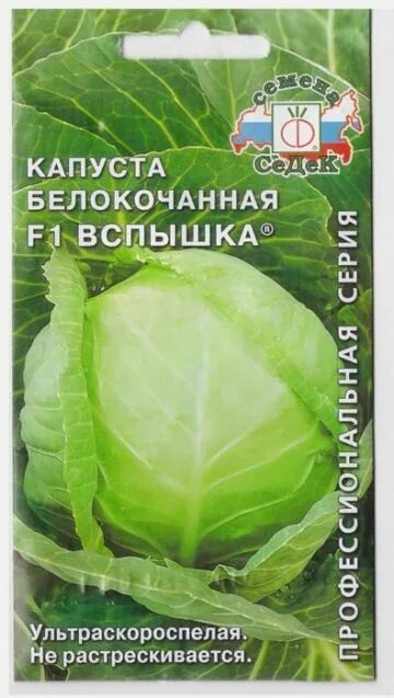 Капуста вспышка описание сорта фото отзывы Купить Капуста б/к Вспышка F1 - SPirk.ru