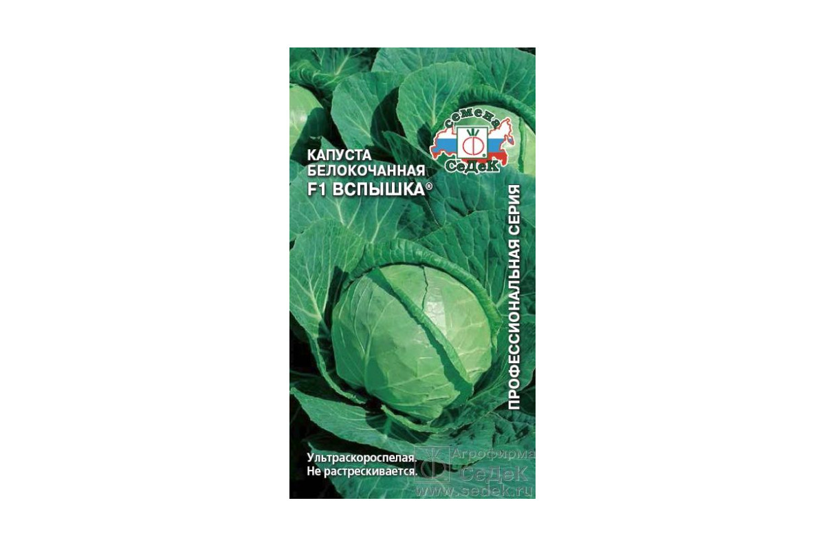 Капуста вспышка описание сорта фото отзывы Белокочанная капуста Вспышка: рассада Зеленый рай Фотогалерея природы на dia-log