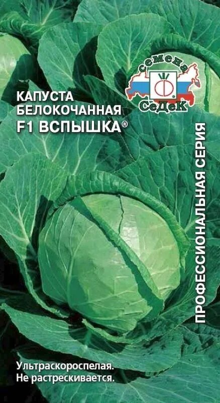Капуста вспышка описание сорта фото отзывы Семена Капуста б/к F1 Вспышка ®: описание сорта, фото - купить с доставкой или п
