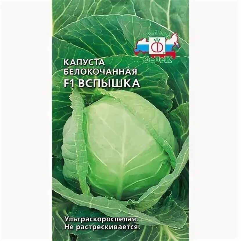 Капуста вспышка описание сорта фото отзывы 3810074 - купить по выгодным ценам в интернет-магазине OZON (169181393)