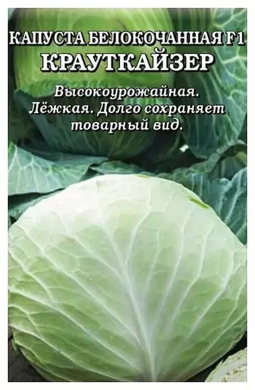 Капуста вспышка описание сорта фото отзывы Семена Капуста б/к Крауткайзер F1: описание сорта, фото - купить с доставкой или
