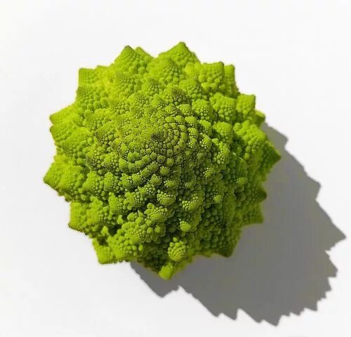 Капуста зеленая похожая на цветную фото Free Image on Pixabay - Romanesco Broccoli, Flower Bud Fractal images, Mandelbro