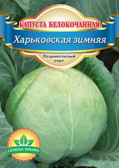 Капуста зимних сортов фото Семена Крыма - Профпакет Капуста белокочанная Харьковская Зимняя