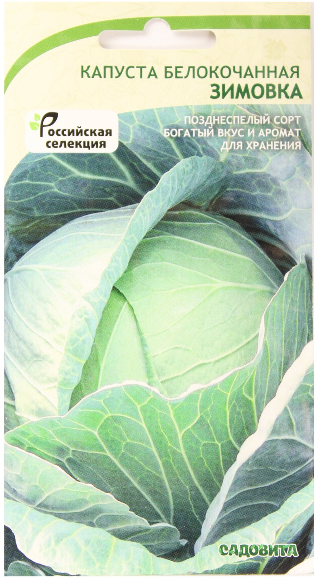 Капуста зимовка фото описание Белокочанная капуста капуста Садовита Зимовка - купить в интернет-магазине по ни